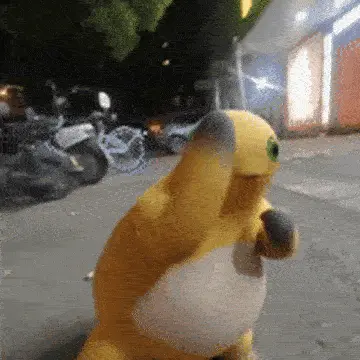 IMG_3572.gif